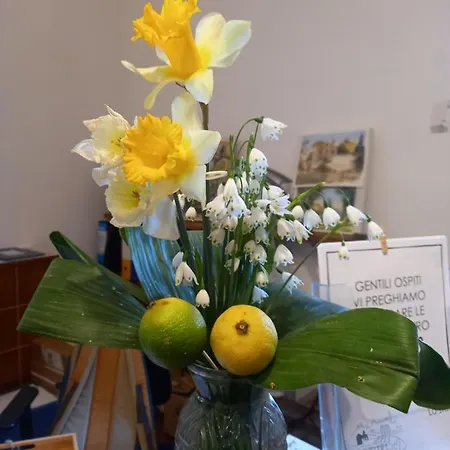 Casa Cares Alloggio per agriturismo