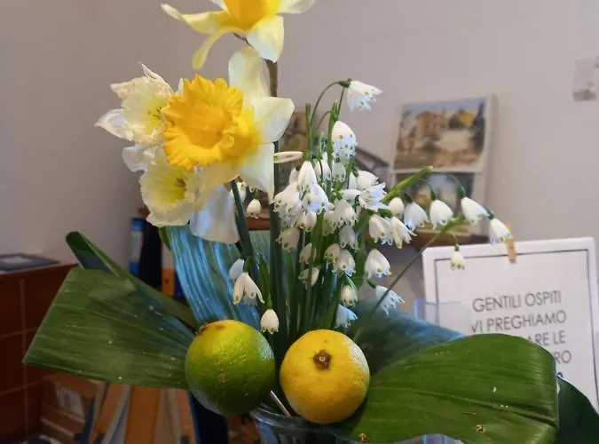 Casa Cares Gospodarstwo agroturystyczne